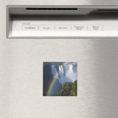 Afrika, Zimbabwe, Victoria-Herfsten Magneet (Insitu (Vaatwasser))