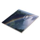 Afrika, Zimbabwe. Victoria Herfsten Tegeltje (Zijkant)