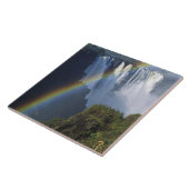 Afrika, Zimbabwe, Victoria-Herfsten Tegeltje (Zijkant)