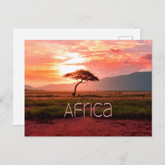 Afrika - ZonneAfrika Briefkaart (Voorkant / Achterkant)