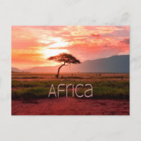 Afrika - ZonneAfrika