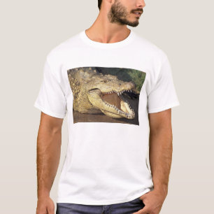 Afrika, Zuid-Afrika Nijlkrokodil T-shirt