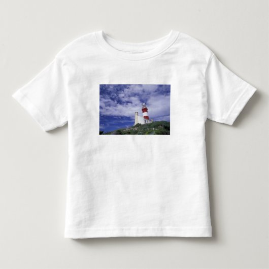 Afrika, Zuid-Afrika, Westkaap, Kaap Kinder Shirts (Voorkant)