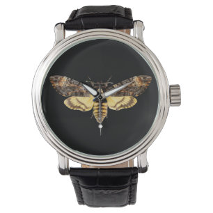 afrikaans doodskop moth butterfly insect Acheronti Horloge