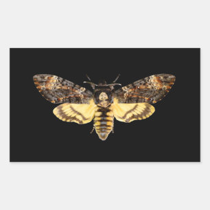 afrikaans doodskop moth butterfly insect Acheronti Rechthoekige Sticker