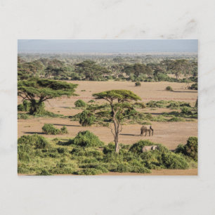 Afrikaans landschap met olifant briefkaart