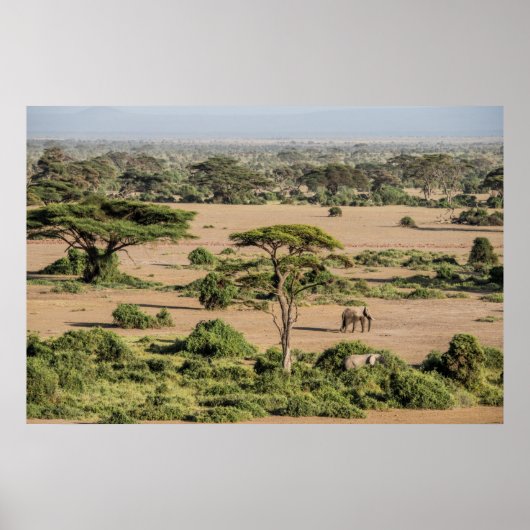 Afrikaans landschap met olifant poster (Voorkant)