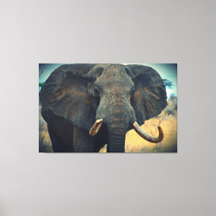 Afrikaans olifant omgepakt Canvas Afdruk