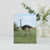 Afrikaans plantaardig wild briefkaart (Staand voorkant)