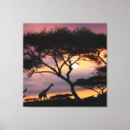 Afrikaans Safari Landschap op Sunset Canvas Print