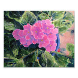 Afrikaans Violet Foto Afdruk