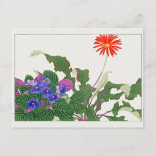 Afrikaans violet, Gerbera van Tanigami Konan Briefkaart
