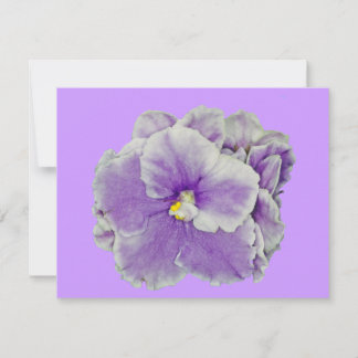 Afrikaans Violet Paars