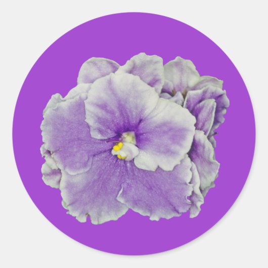 Afrikaans Violet Paars Ronde Sticker (Voorkant)
