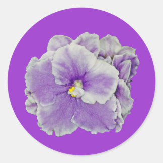 Afrikaans Violet Paars Ronde Sticker