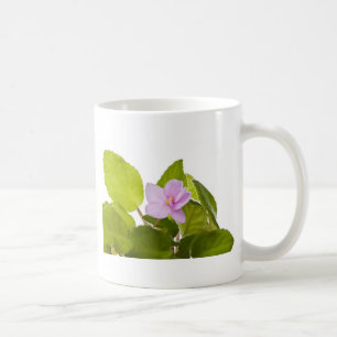 afrikaans violet - saintpaulia ionantha koffiemok