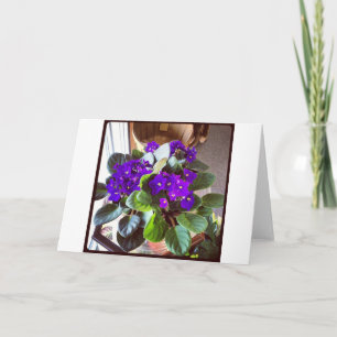 Afrikaans Violet Stationery Notitiekaartje