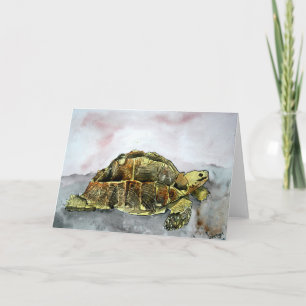 afrikaans wenskaart van landschildpadden kaart