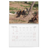 afrikaans-wild-dog-012, African Wild Dog Kalender (Feb 2026)