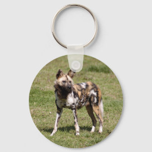 afrikaans-wild-dog-015 sleutelhanger