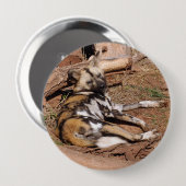 afrikaans-wild-dog-018 ronde button 4,0 cm (Voorkant /achterkant)