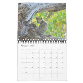 AFRIKAANS WILDLIFE BABIES CALENDAR KALENDER (Feb 2027)