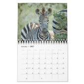 AFRIKAANS WILDLIFE BABIES CALENDAR KALENDER (Jan 2027)