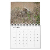 AFRIKAANS WILDLIFE BABIES CALENDAR KALENDER (Mar 2027)