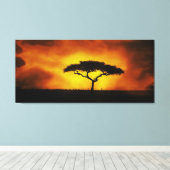 Afrikaanse acacia landschap warme gloed canvas afdruk (Insitu (Houten vloer))