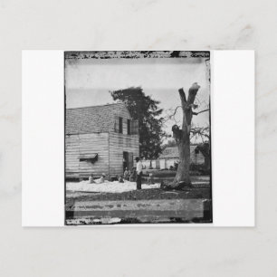 Afrikaanse Amerikanen bereiden katoen ongeveer 186 Briefkaart