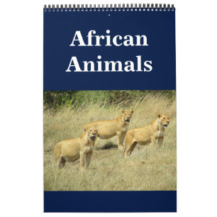 afrikaanse animalia kalender