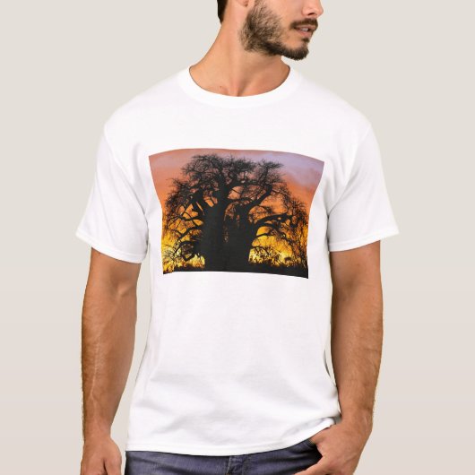 Afrikaanse baobabboom, Adansonia digitata, T-shirt (Voorkant)