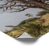 Afrikaanse baobabboom poster (Hoek)