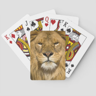 Afrikaanse Barbarijse Leeuw, Panthera leo leo, een Pokerkaarten
