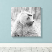 Afrikaanse baviaan canvas afdruk (Insitu (Houten vloer))