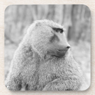 Afrikaanse baviaan drankjes onderzetter