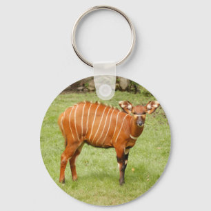 Afrikaanse Bongo Sleutelhanger