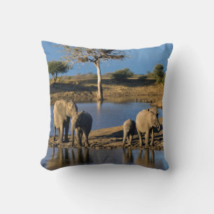 Afrikaanse Bosolifanten (Loxodonta Africana) Kussen
