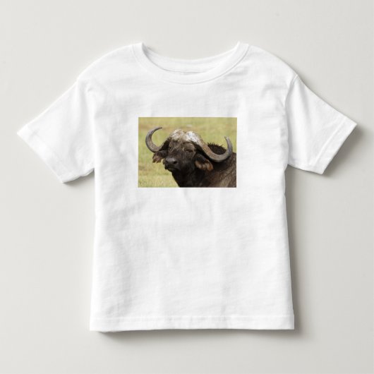Afrikaanse buffel, Syncerus caffer Kinder Shirts (Voorkant)