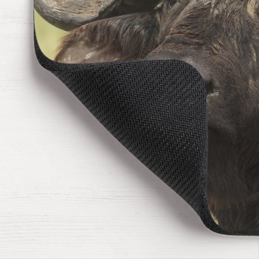 Afrikaanse buffel, Syncerus caffer Muismat (Hoek)