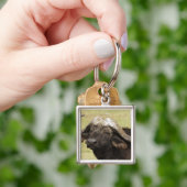 Afrikaanse buffel, Syncerus caffer Sleutelhanger (Hand)