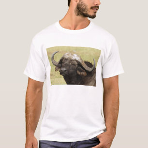 Afrikaanse buffel, Syncerus caffer T-shirt