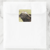 Afrikaanse buffel, Syncerus caffer Vierkante Sticker (Tas)