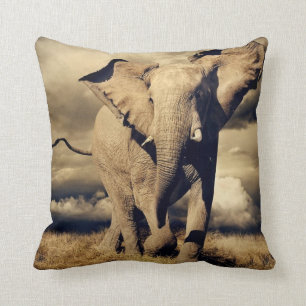 AFRIKAANSE BULL ELEPHANT PILLOW KUSSEN