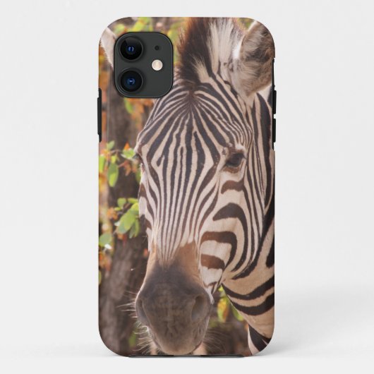 Afrikaanse Burchell's zebra met strepen in bushvel Case-Mate iPhone Case (Achterkant)