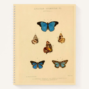 Afrikaanse Butterfly Hardcover Spiral Sketchbook Notitieboek
