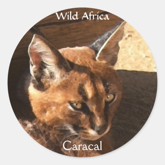 AFRIKAANSE CARACAL WildCat Wildlife Stickers (Voorkant)