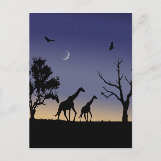 Afrikaanse dageraad - giraffes briefkaart (Voorkant)