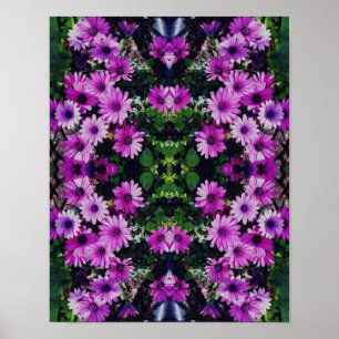 Afrikaanse Daisy Flowers Kijk Abstract Poster