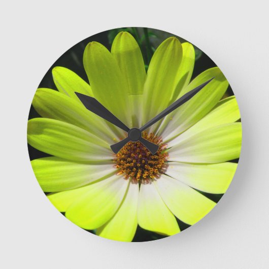 Afrikaanse Daisy Fluorescent Yellow Wall klok (Voorkant)